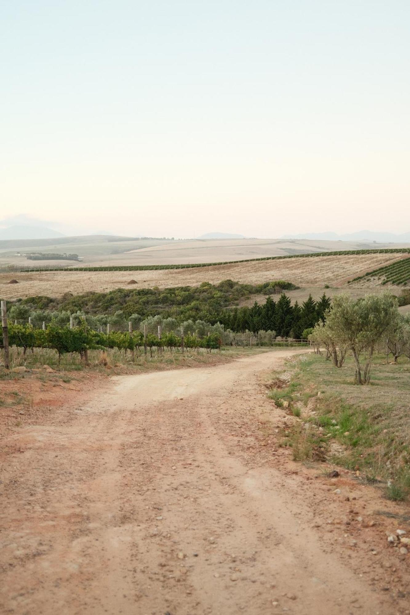 Villa Gabrielskloof *